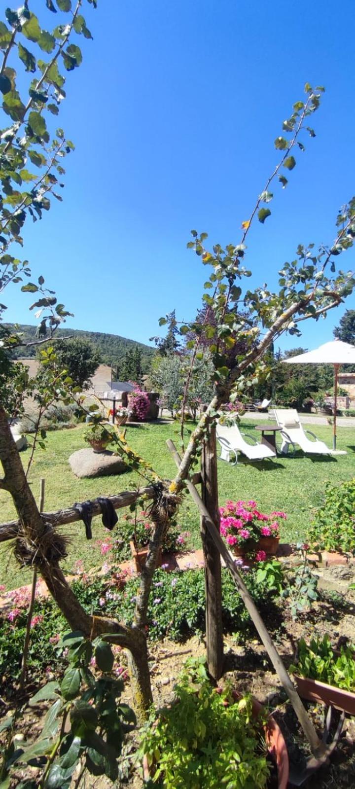 Agriturismo Il Pozzo Castiglione dʼOrcia Buitenkant foto