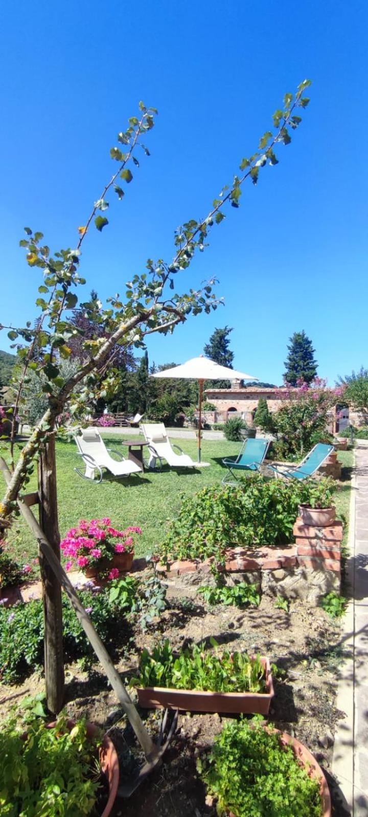Agriturismo Il Pozzo Castiglione dʼOrcia Buitenkant foto